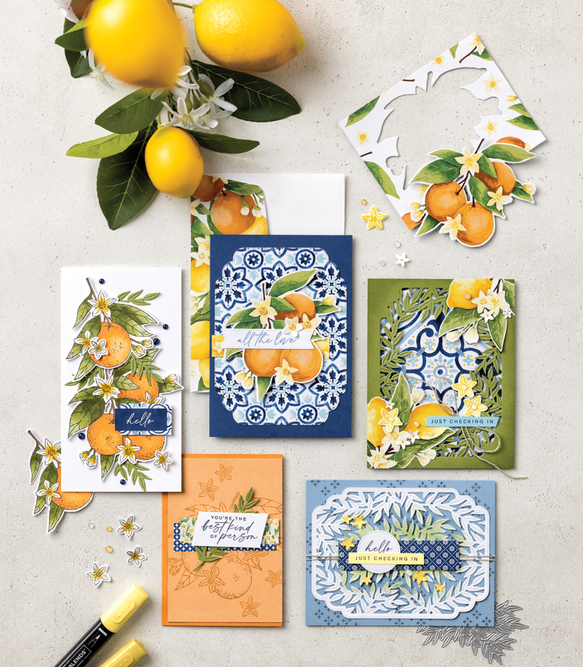 Mix and match the brilliant colors and textures of the Mediterranean with the Mediterranean Blooms Suite. The complementary colors of the blues, oranges, yellows, and greens make this an easy kit to use to unleash your creativity.
